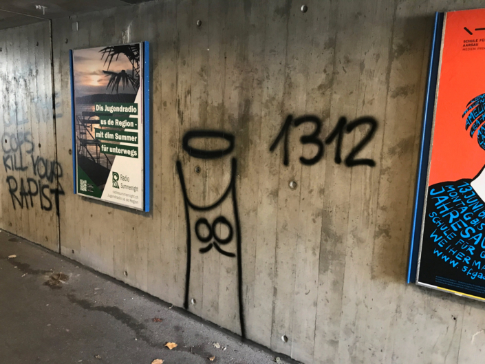 Autonome Linksfaschisten, Anhänger der Juso, Jungen Grünen und der SP terrorisieren seit Jahren die Stadt Aarau mit illegalen Aktionen und Sprayereien. Die Stadt Aarau leidet darunter. Die Stadt Aarau.